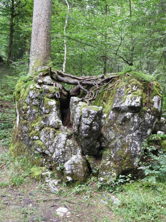 Kraehenberg Am Rande Der Wildnis Apartment Sibratsgfall Exterior photo